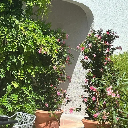 Angelussi - Le Clos Du Soleil 4*